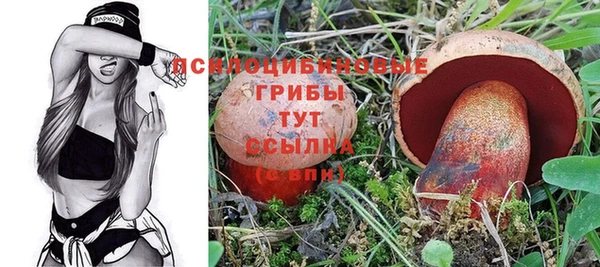 трава Бронницы