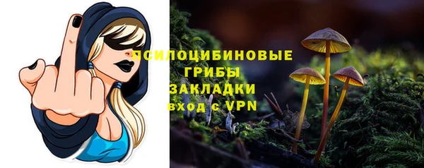 трава Бронницы