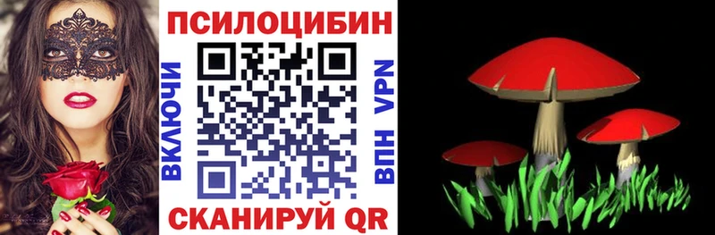 Псилоцибиновые грибы MAGIC MUSHROOMS  Купить закладки  Тайга 